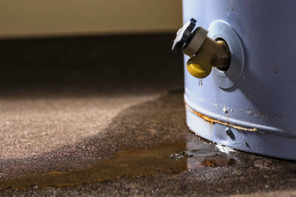 Best Ceiling water damage repair  in Des Allemands, LA