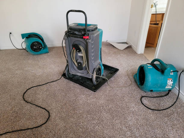 Best Professional water damage repair  in Des Allemands, LA
