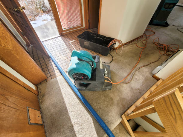 Best Emergency water damage restoration  in Des Allemands, LA