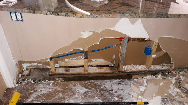Best Flood damage cleanup  in Des Allemands, LA