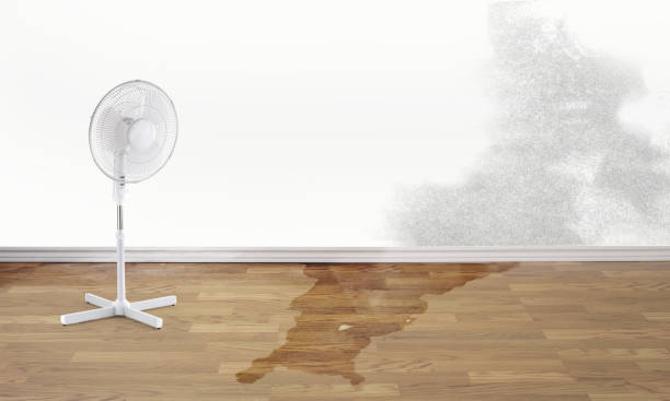  Des Allemands, LA Water damage restoration Pros