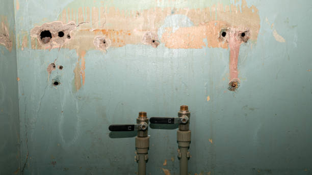 Best Basement water damage restoration  in Des Allemands, LA