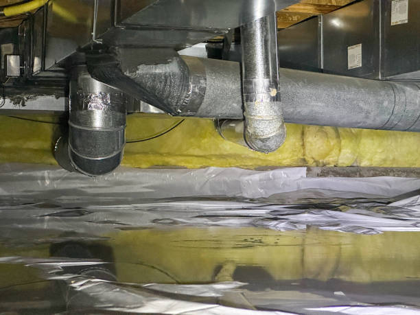 Best Basement water damage restoration  in Des Allemands, LA