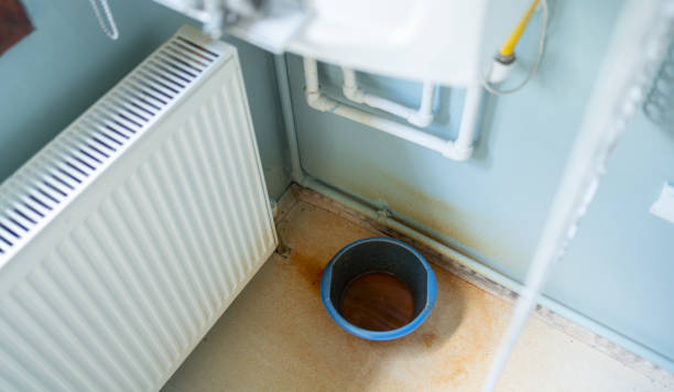 Best Mold removal after water damage  in Des Allemands, LA