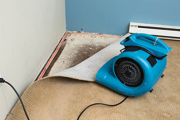 Best Sewage cleanup and water damage restoration  in Des Allemands, LA